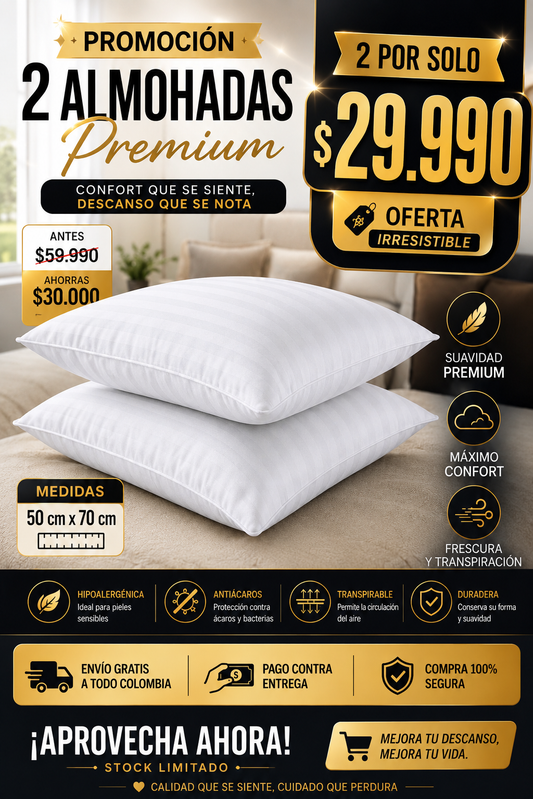 Almohada premium 2 x 1